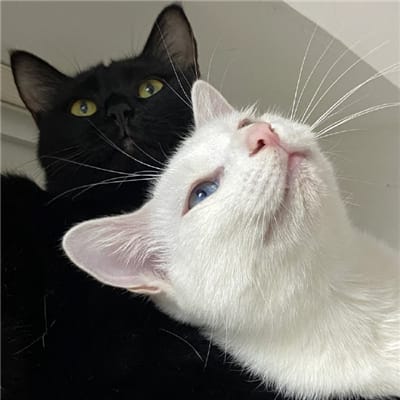 Hendra Gunawan avatar